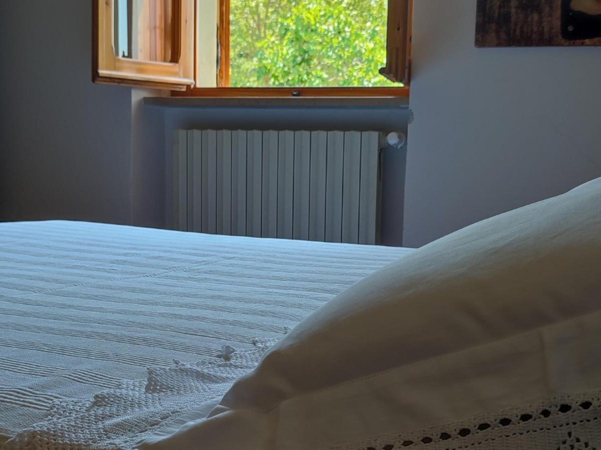 Bed And Breakfast Country Hill Arezzo Dış mekan fotoğraf