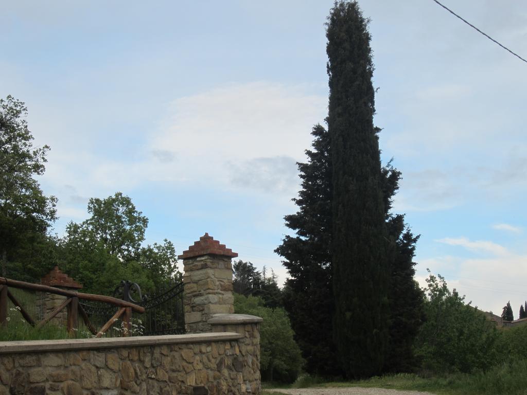 Bed And Breakfast Country Hill Arezzo Dış mekan fotoğraf