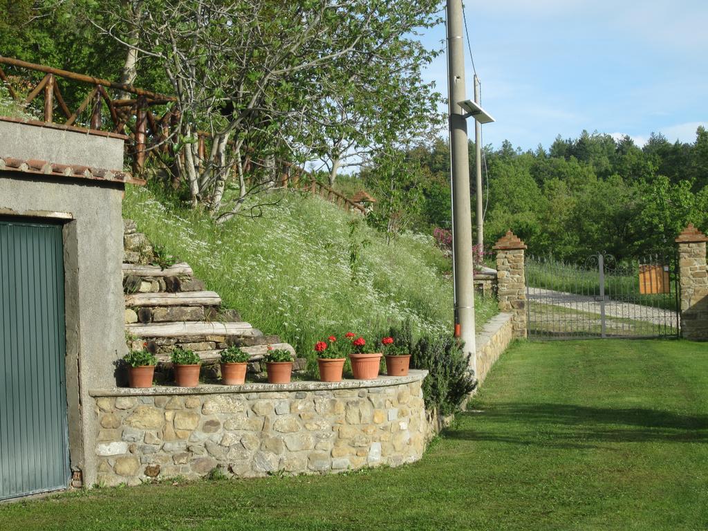 Bed And Breakfast Country Hill Arezzo Dış mekan fotoğraf