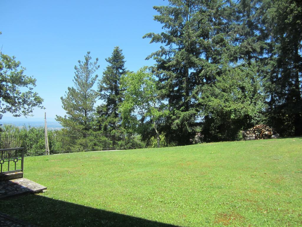 Bed And Breakfast Country Hill Arezzo Dış mekan fotoğraf